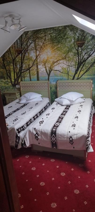 Pensiunea Casa Doamnei Voronet 古拉哈莫卢洛伊 外观 照片