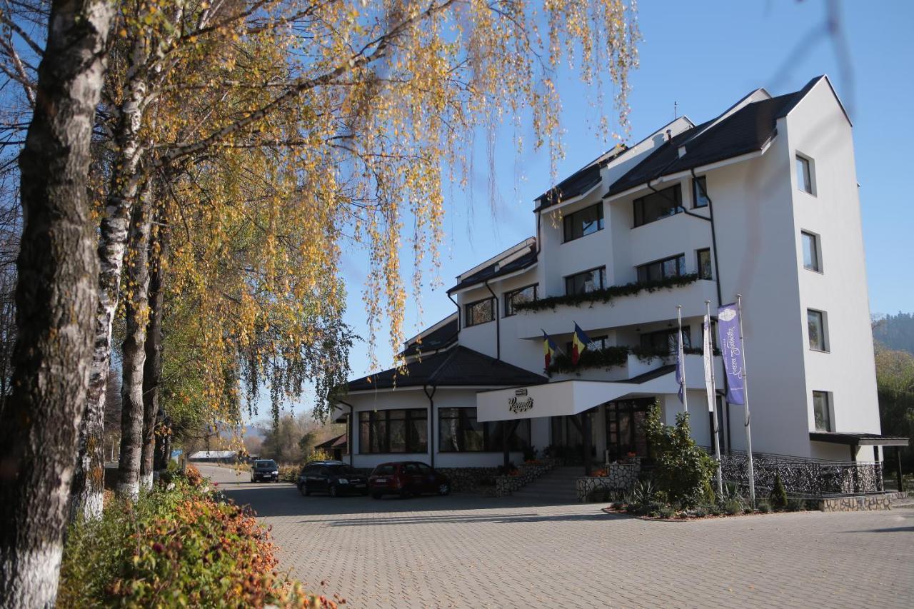 Pensiunea Casa Doamnei Voronet 古拉哈莫卢洛伊 外观 照片